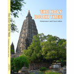 The Holy Bodhi Tree